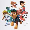 Personalised Paw Patrol Birthday Card